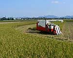 中山農場