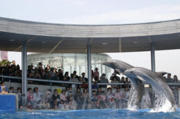 うみたまご水族館