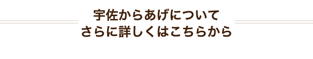 宇佐からあげについてさらに詳しくはこちらから